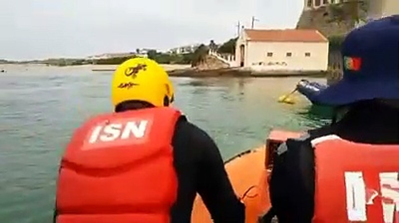 Cão, Sines
