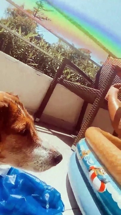 Não há duas sem ... Filho de Rita Pereira atira brinquedo e acerta na mãe