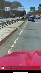 Touro escapa e resolve ir passear para a autoestrada nos EUA. Ora veja