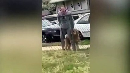 Professora de Nova Jersey insulta crianças que saíram a rua para jogar à bola