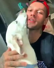 Lucas Lucco apresenta novo membro da família. "O Uaiti"