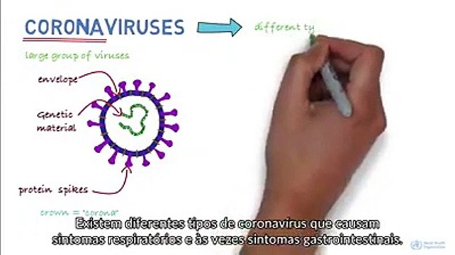 Covid-19: Como tudo começou e como deve atuar em caso de sintomas