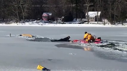 Homem e cão resgatados de lago congelado