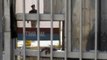 Deputy jailer suspended after death of inmate Ankit Gujjar