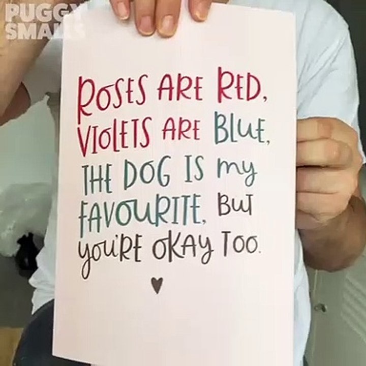 Cão, Postal