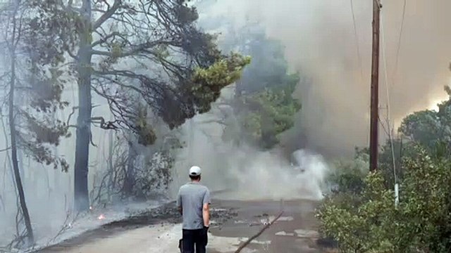 Cuerpo a cuerpo de los bomberos contra el devastador incendio en la isla griega de Eubea