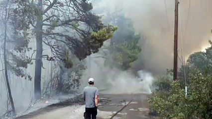 "Cuerpo a cuerpo" de los bomberos contra el devastador incendio en la isla griega de Eubea