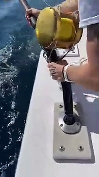Tubarão-branco pesca