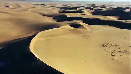 Fernando Alonso - Dakar