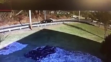 Condutor escapa a ser atingido por uma árvore por milímetros. Ora veja