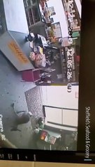 Veado invade mercearia... pela porta de vidro e foge a nado. Ora veja