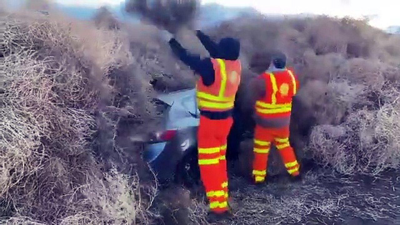 Bolas de ervas daninhas bloqueiam autoestrada