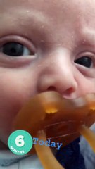 Jessica Athayde celebra seis meses de Oliver com vídeos únicos