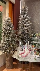 Vídeo: Eis a estonteante decoração de Natal do "Programa da Cristina"