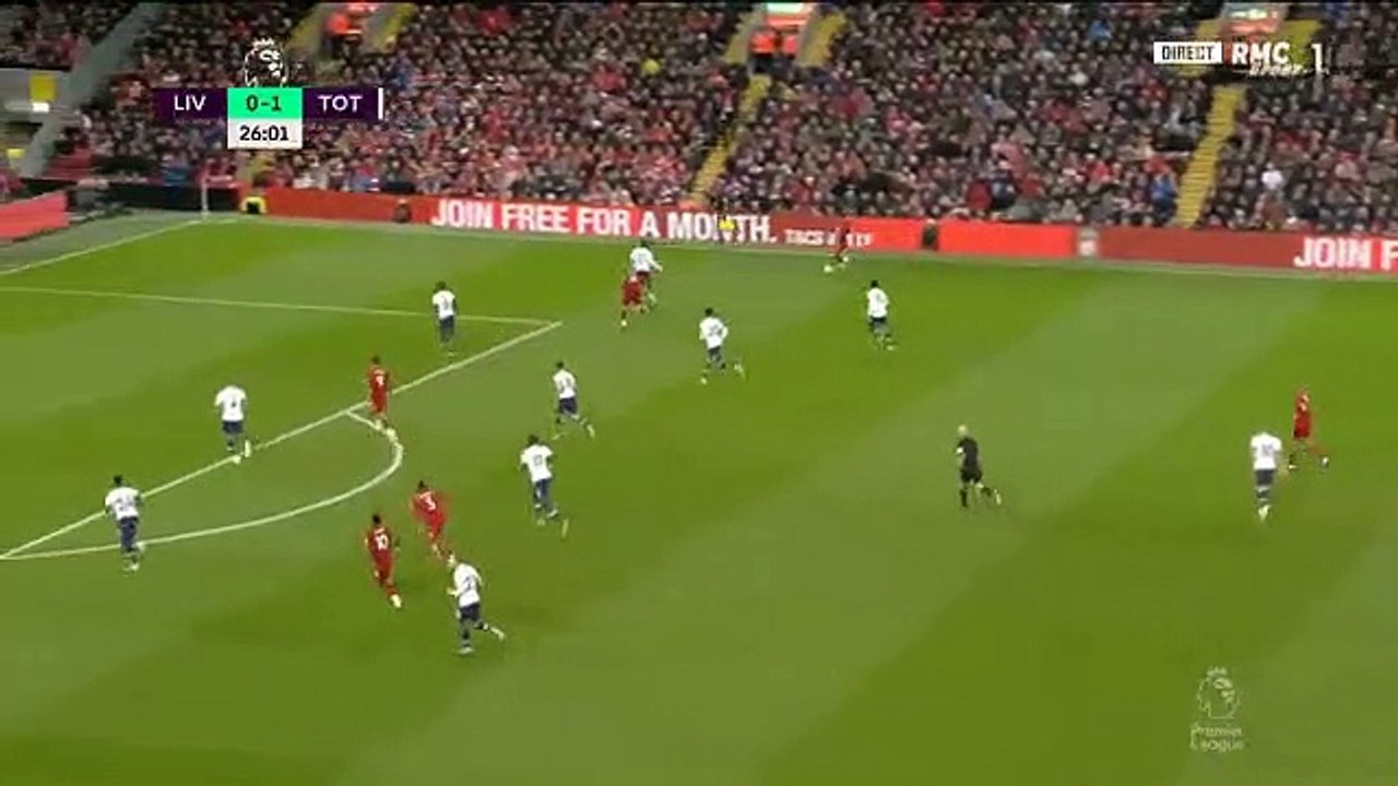 Gazzaniga