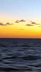 Vídeo de luzes no oceano