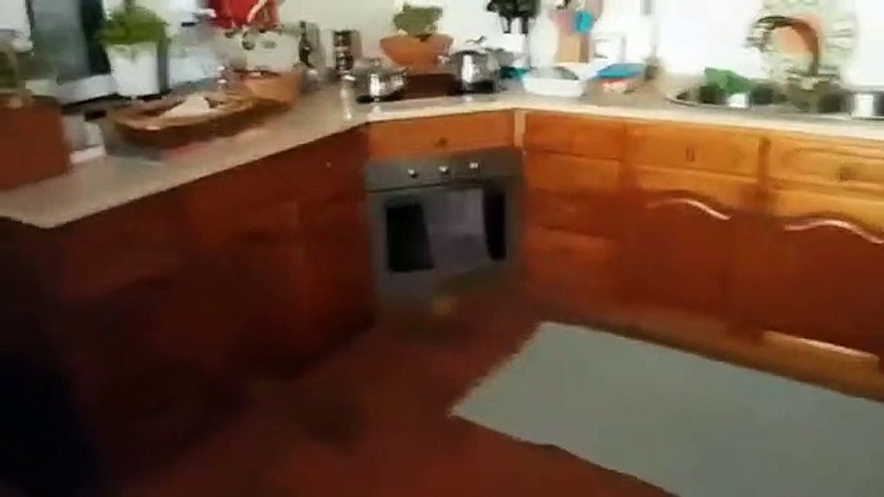 António Raminhos assinala aniversário da filha com vídeo de chorar a rir