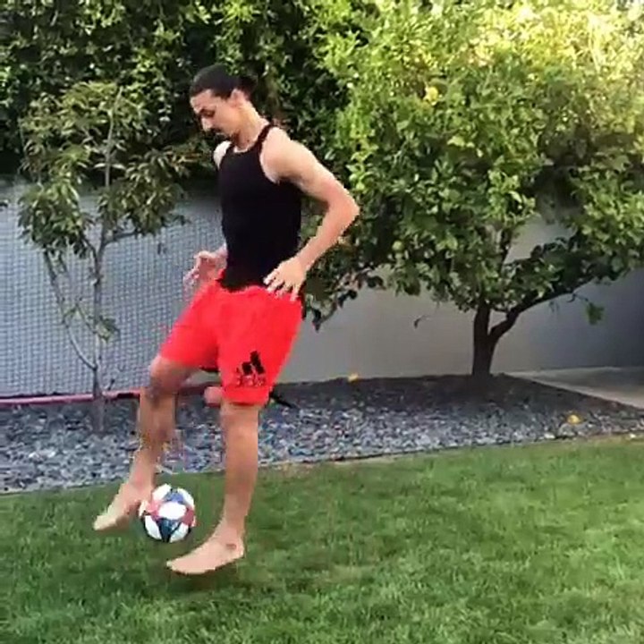 Matrix Challenge - Zlatan Ibrahimovic