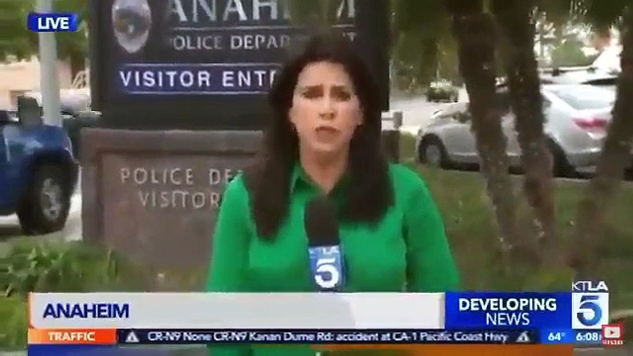 Jornalista viral