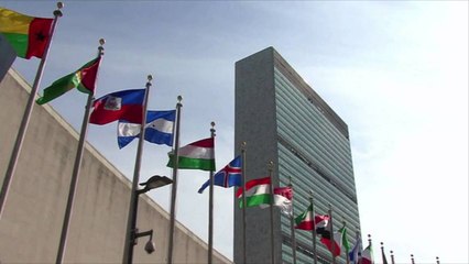 Climate Change Report Projects Significant Consequences for Food Supply