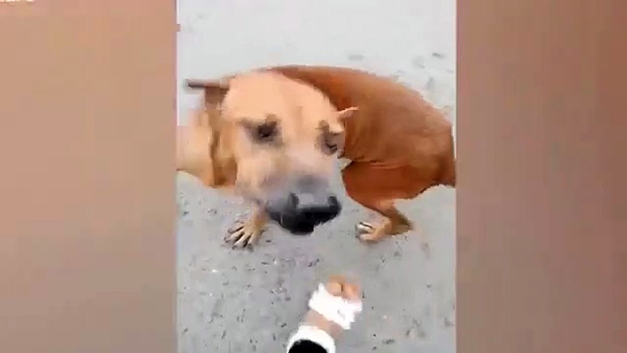 tailândia