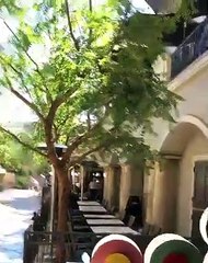 Bruce Willis deixa apresentador de TV de mão estendida. Vídeo já é viral