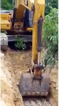 Elefantes presos em mina abandonada na Malásia foram resgatados