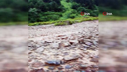 Uzungöl'de şiddetli yağışlar sonrası Koşon Deresi'nde çamur aktı