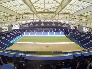Relvado do Dragão