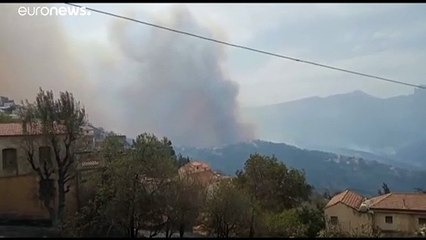 Viele Tote bei Waldbränden in Algerien