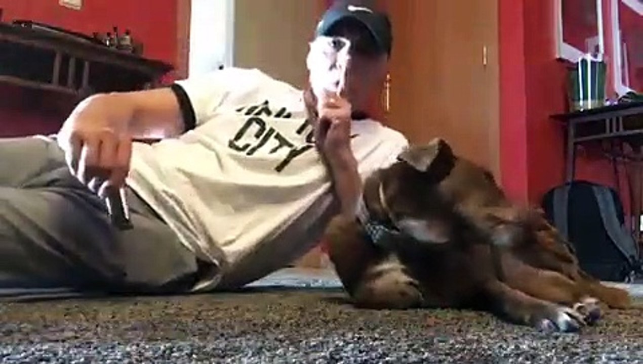 Vídeo: Rodrigo Guedes de Carvalho toca harmónica para o seu cão