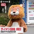 Zoo japonês treina para fuga de animais... com homem vestido de leão