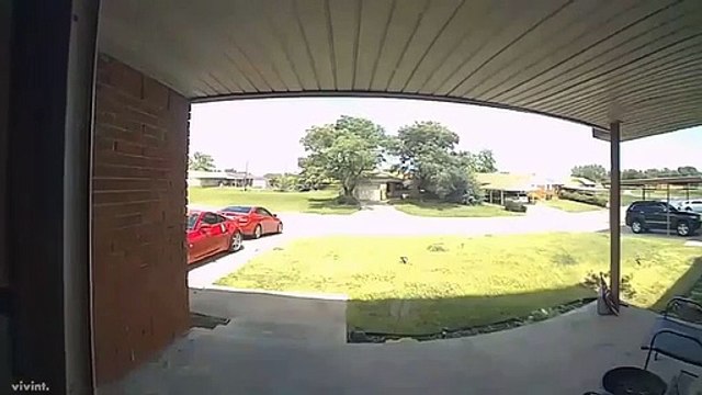 Câmara de vigilância capta momento em que cobra morde homem na cara