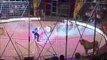 Artista de circo atacado por leão em espetáculo na Ucrânia