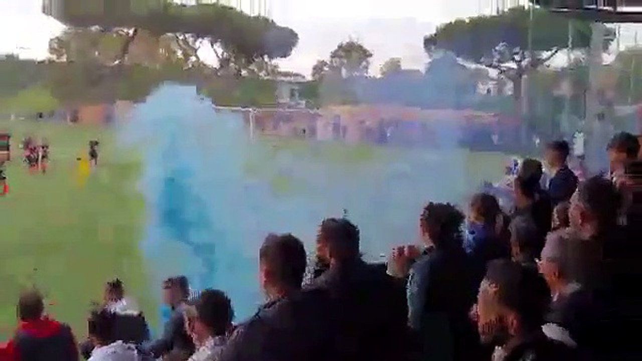 árbitro