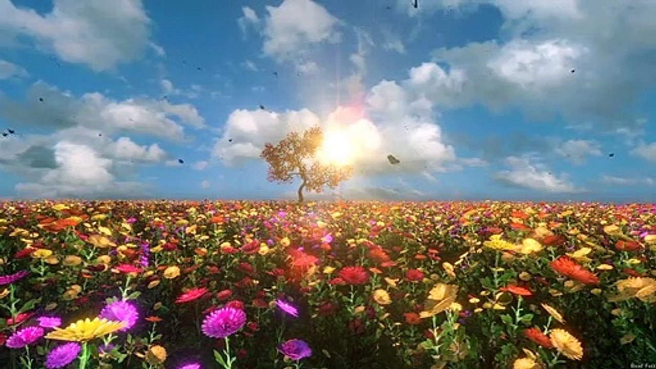 Flower Point