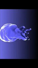 Cientistas captam imagens 3D de coração de bebé dentro do útero