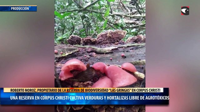 Una Reserva en Corpus Christi cultiva verduras y hortalizas libre de agrotóxicos