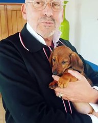 Manuel Luís Goucha apresenta novo elemento da família: A pequena Bolota