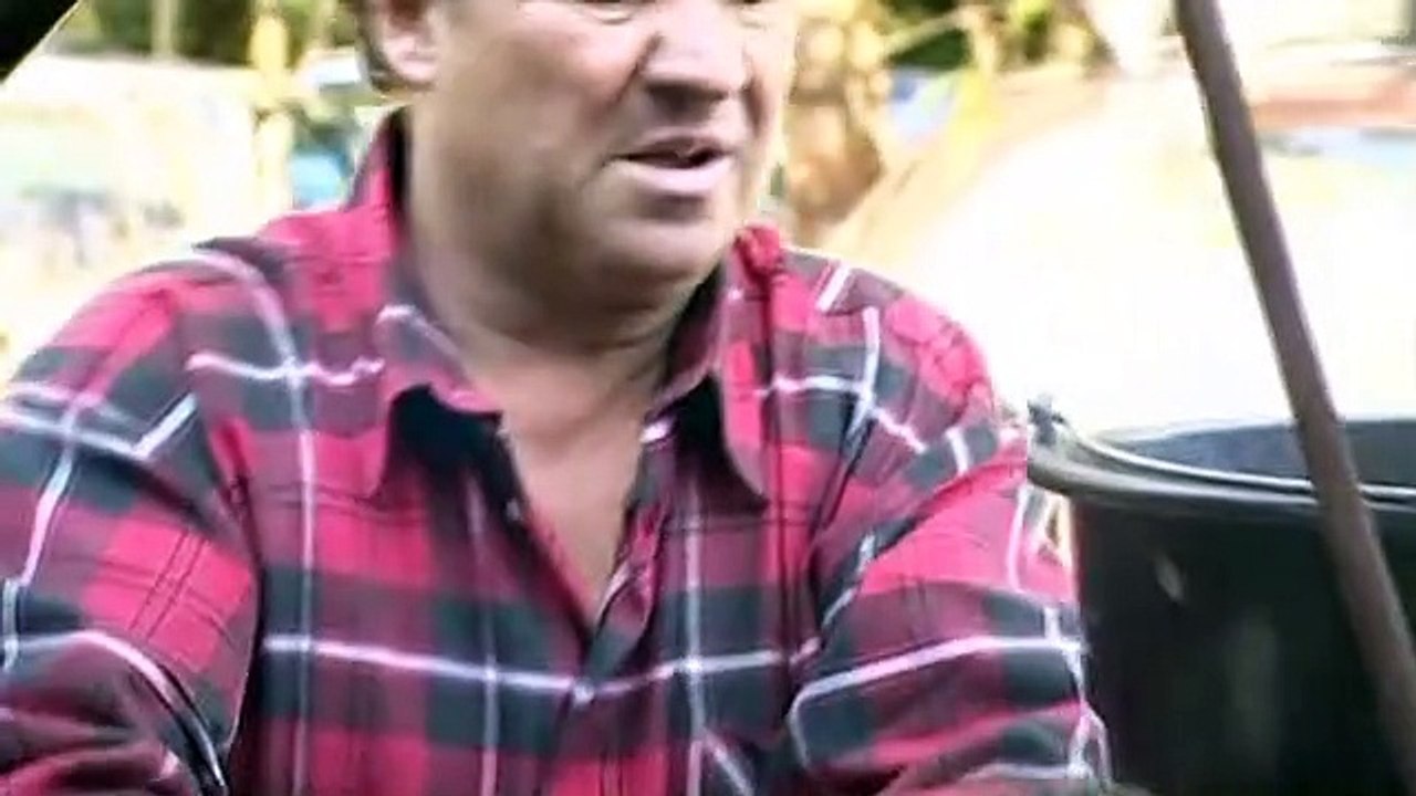 Die Ludolfs (35) Design oder nicht sein