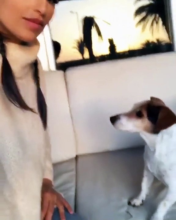 Vídeo: Rita Pereira mostra como a cadela Hyndia está bem educada