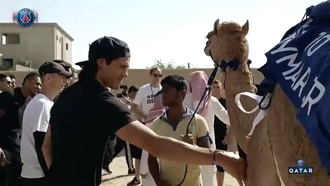Corrida de camelos - PSG