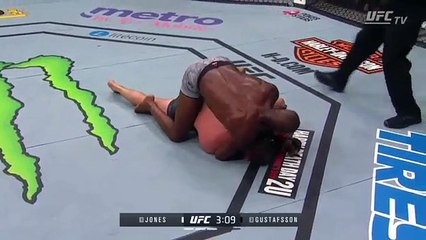 Jon Jones vs. Alexander Gustafsson