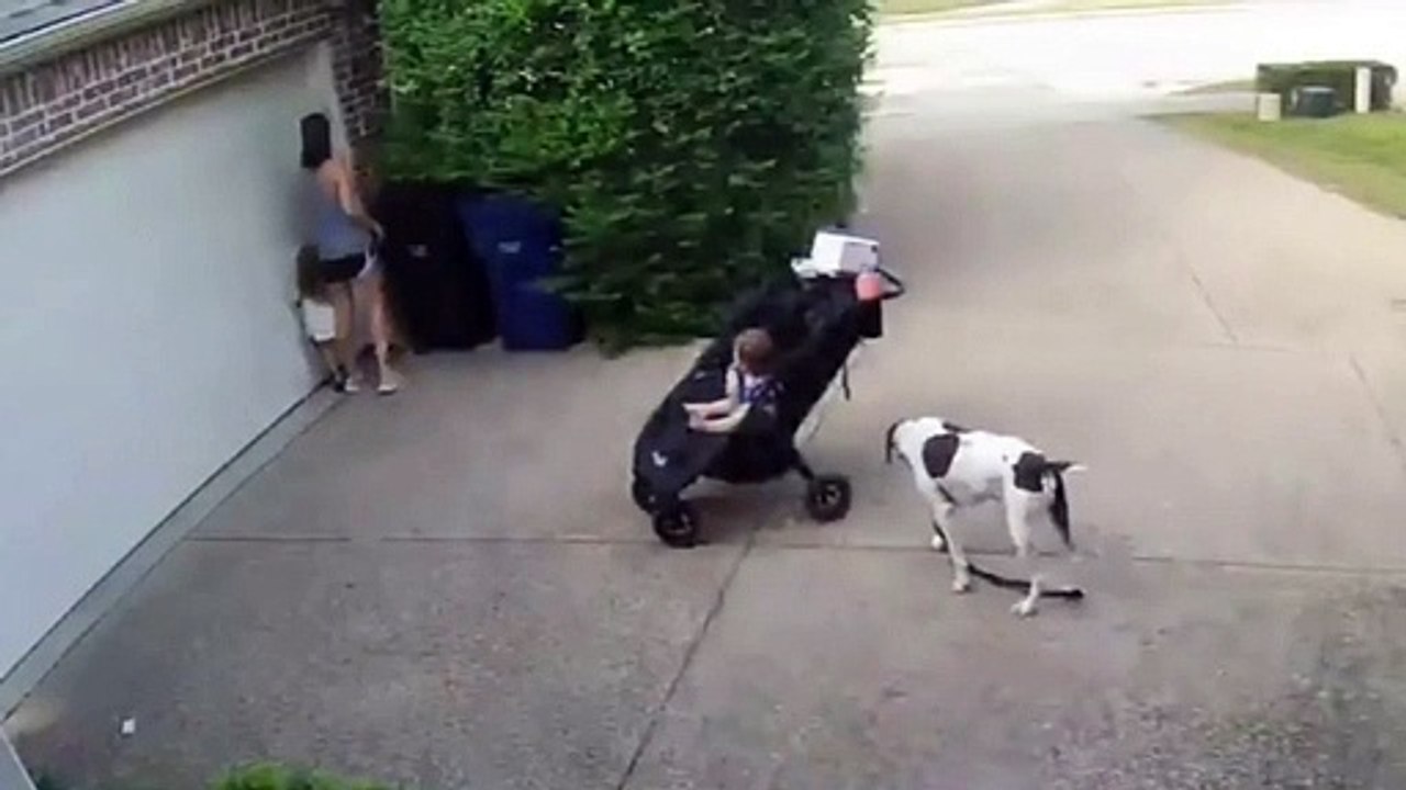 Eis porque não deve desviar o olhar dos seus filhos nem um segundo