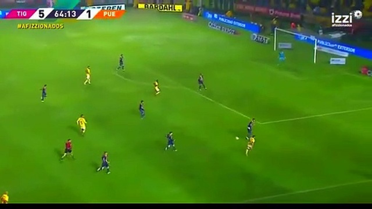 Tigres-Puebla