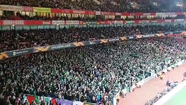 Adeptos do Sporting no Emirates