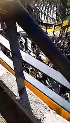 Marijuana nas bancadas do Peñarol