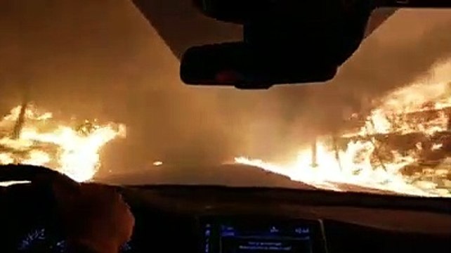 Família arrisca conduzir entre as chamas para fugir a incêndio