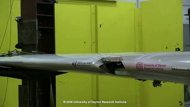 Porque é que os drones são um risco? Este vídeo mostra-lhe