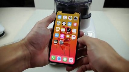 A internet é um lugar estranho. Youtuber bebeu iPhone X